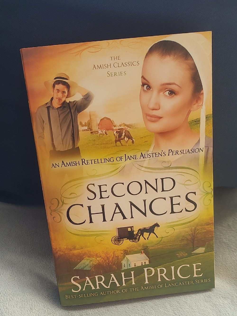 Second Chances/By Sarah Price,2015